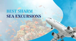Sharm El Sheikh Activities