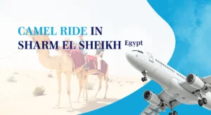 Camel Ride Sharm El Sheikh