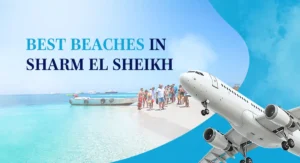 Best Beaches In Sharm El Sheikh